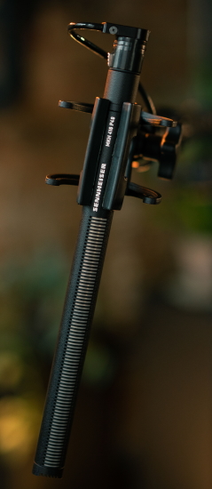 Sennheiser MKH 416 in use