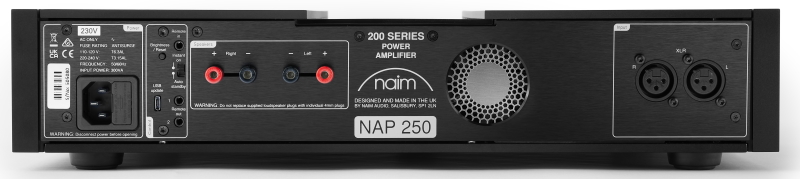 NAIM 250 rear small