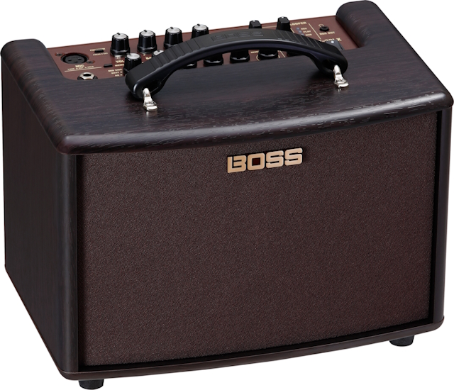 BOSS AC 22LX angle